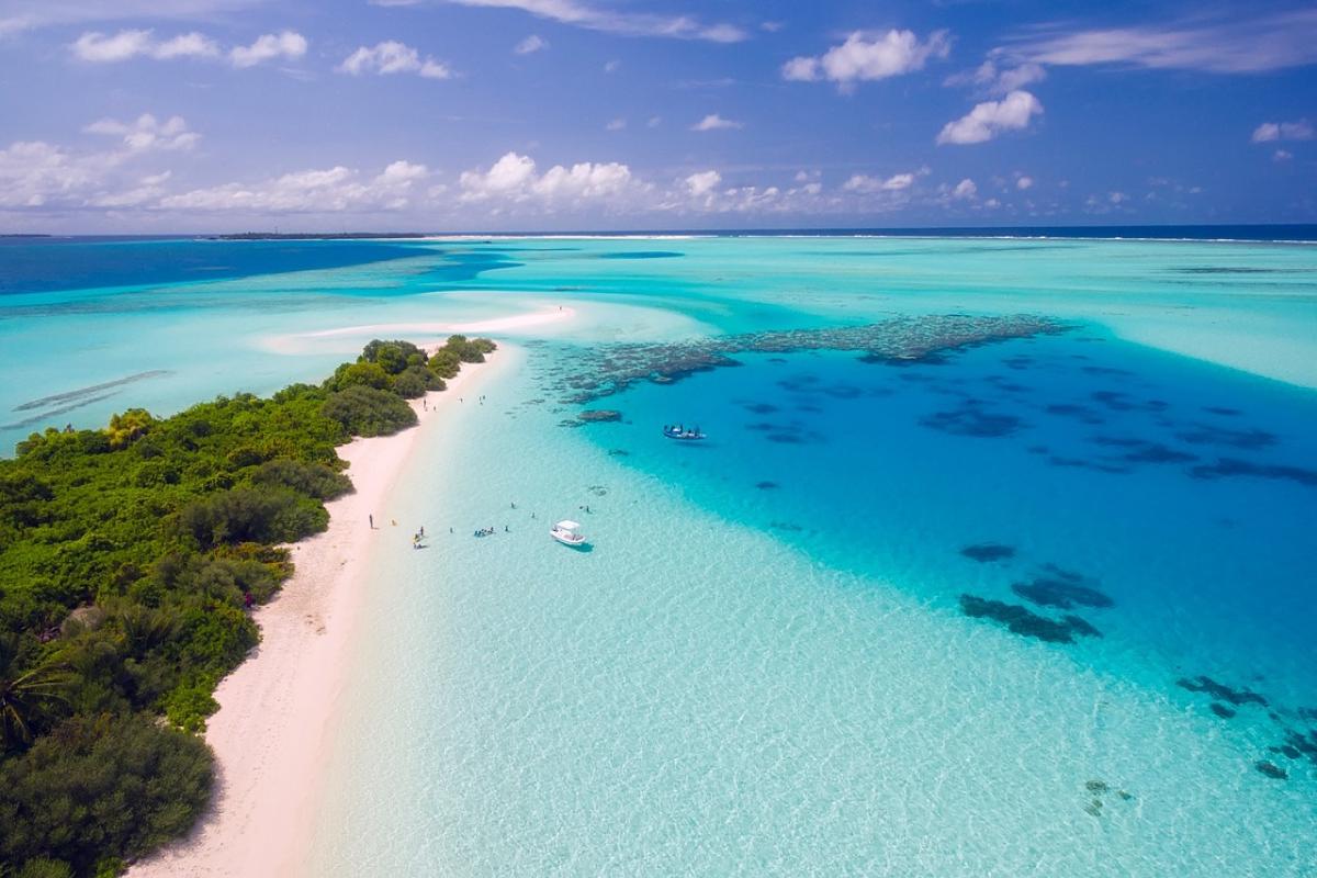 Onderzoek naar Saba's rijke mariene leven tijdens een snorkelavontuur